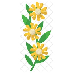 Daisy Flower  Icon