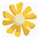 Foliage And Floral Daisy Flower Icon