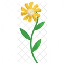 Foliage And Floral Daisy Flower Icon