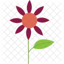 Daisy Flower With Leave  Icon