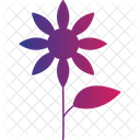 Daisy Flower With Leave White Daisy Green Leaves Icon