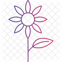 Daisy Flower With Leave White Daisy Green Leaves Icon