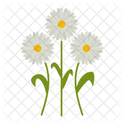 Daisy Flowers  Icon