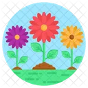 Daisy Flowers Flowerets Blossom Icon