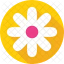 Daisy Flower Blossom Icon
