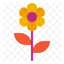 Daisy Flower Nature Icon