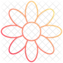 Daisy Flower Nature Icon