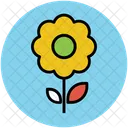 Daisy Flower Single Icon