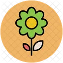 Daisy Flower Single Icon