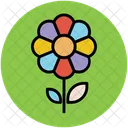 Daisy Flower Single Icon