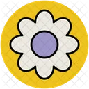 Daisy Flower Spring Icon