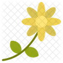 Plants Flower Whites Icon