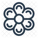 Daisy White Petals Icon