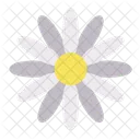 Daisy Flower Floral Icon
