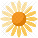 Daisy Flower Floral Icon