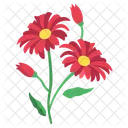 Daisy Flower Blossom Icon