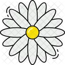 Daisy Flower Icon