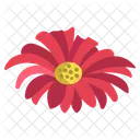 Daisy Flower Flowers Icon