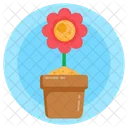 Daisy Plant  Icon