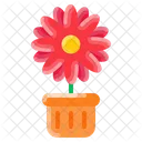 Daisy Pot Flower Pot Potted Plant Icon