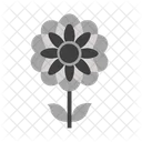 Flor Dalia Ícone
