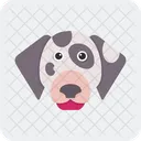 Dalmata Animal Perro Icono