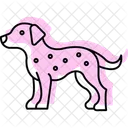 Dalmata Perro Mascota Icono