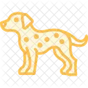 Dalmata Perro Mascota Icono