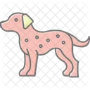 Dalmata Perro Mascota Icono