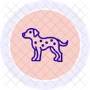Dalmata Icono