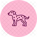 Dalmata Perro Mascota Icono