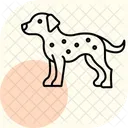 Dalmata Perro Mascota Icono