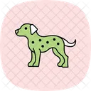 Dalmata Perro Mascota Icono
