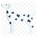 Dalmata Perro Mascota Icono