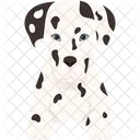 Dalmata Perro Animal Icono