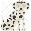 Dálmata  Ícone