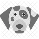 Dalmatian Animal Dog Icon