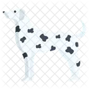 Dalmatian Pet Dog Pet Icon