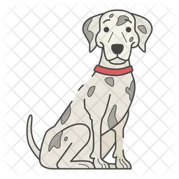 Dalmatian  Icon