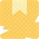 Damaged Package Broken Icon