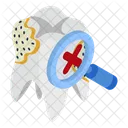 Damaged tooth  Icon