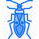 Damsel Beetle Bug Icon