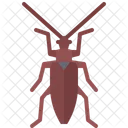 Damsel Beetle Bug Icon