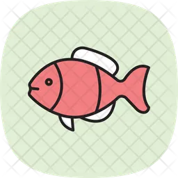 Damselfish  Icon
