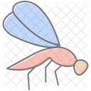 Damselfly Insect Zygoptera Icon
