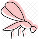 Damselfly Insect Zygoptera Icon