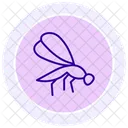 Damselfly Insect Zygoptera Icon