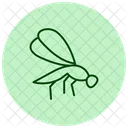 Damselfly Insect Zygoptera Icon
