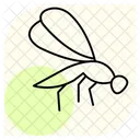 Damselfly Insect Zygoptera Icon