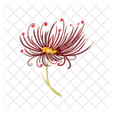 Dandelion  Symbol